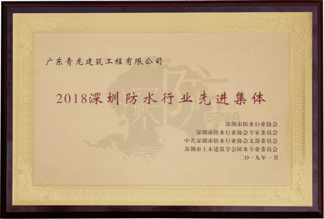 青龍榮獲2018年深圳防水行業(yè)先進(jìn)集體獎(jiǎng) 深圳防水
