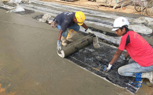 青龍馬來西亞籍員工預(yù)鋪PCM卷材 防水材料