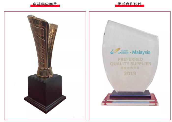 青龍榮獲碧桂園集團兩項殊榮 防水材料