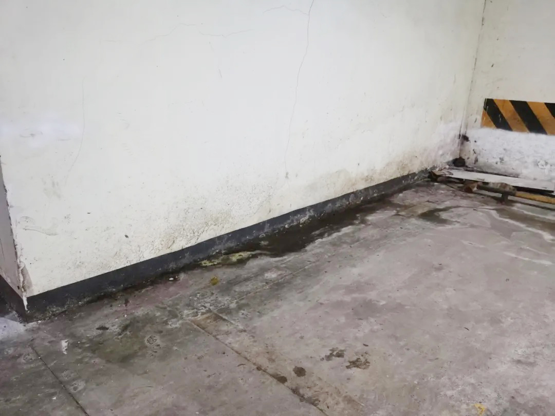 防水層泛白？別急著鏟！90%的人都不知道的真正原因在這里！